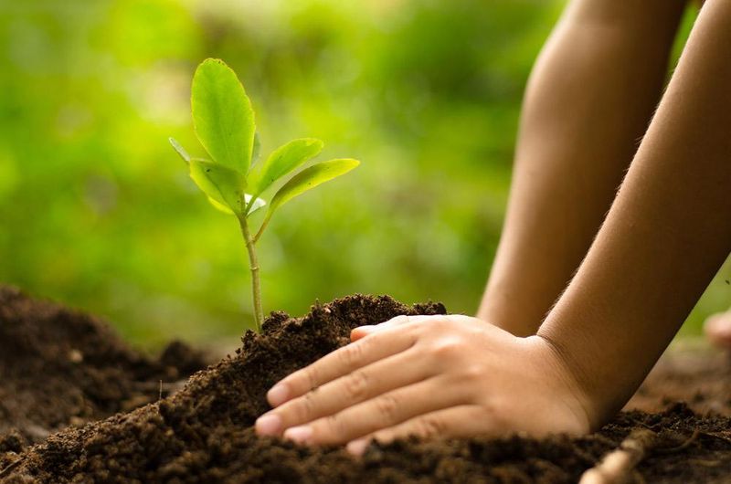Mark Your Calendar for This Sweet Planting Window Mark Your Calendar for This Sweet Planting Window