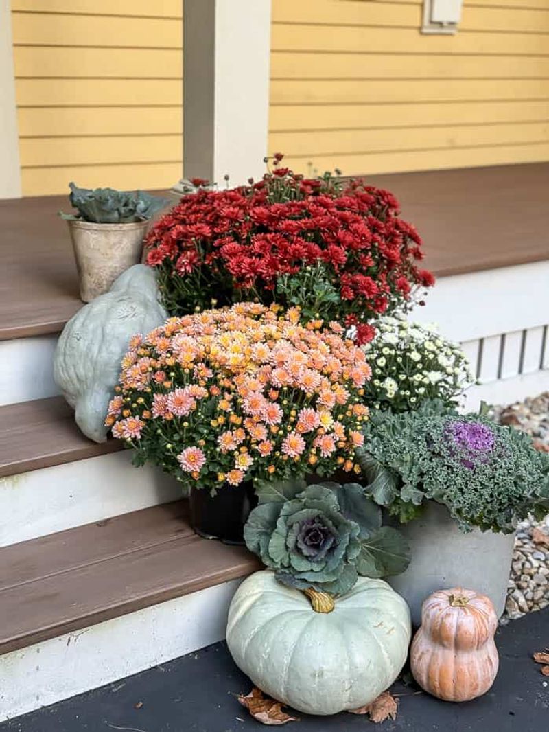 Mass Mums In Matching Urns For A Classic Fall Welcome Mass Mums In Matching Urns For A Classic Fall Welcome