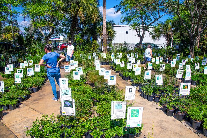 Master Gardener Nurseries Sell Florida-Friendly Plants