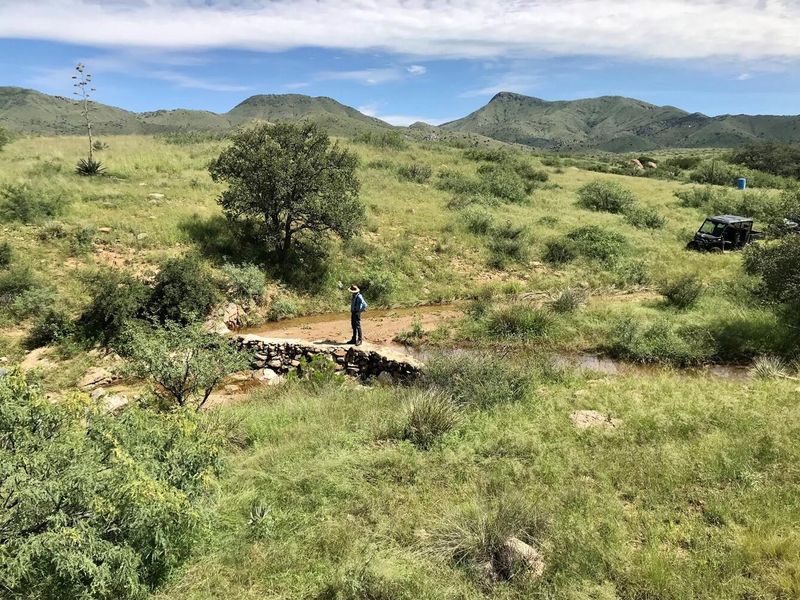 Match restoration—and planting—to its place Match restoration—and planting—to its place