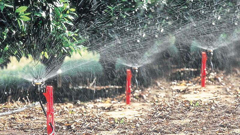 Match the interval to the irrigation method