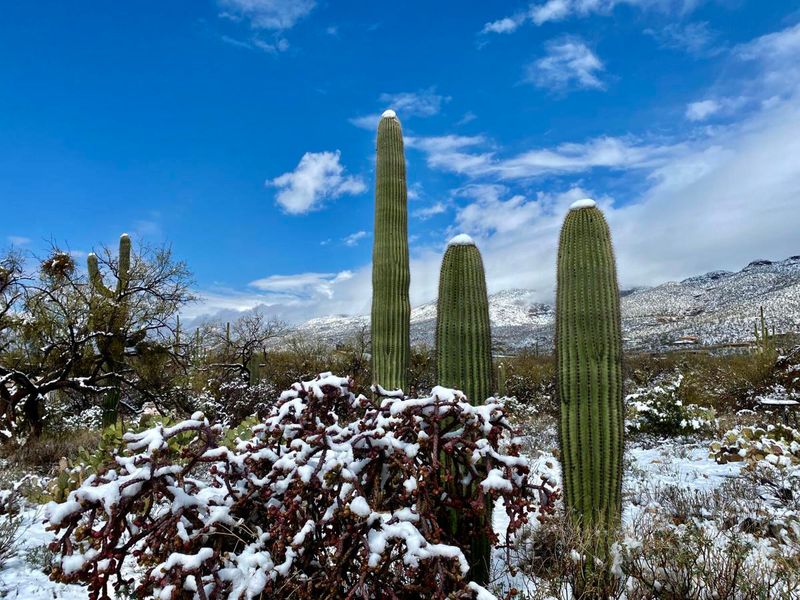 Match your cold-weather plan to your location