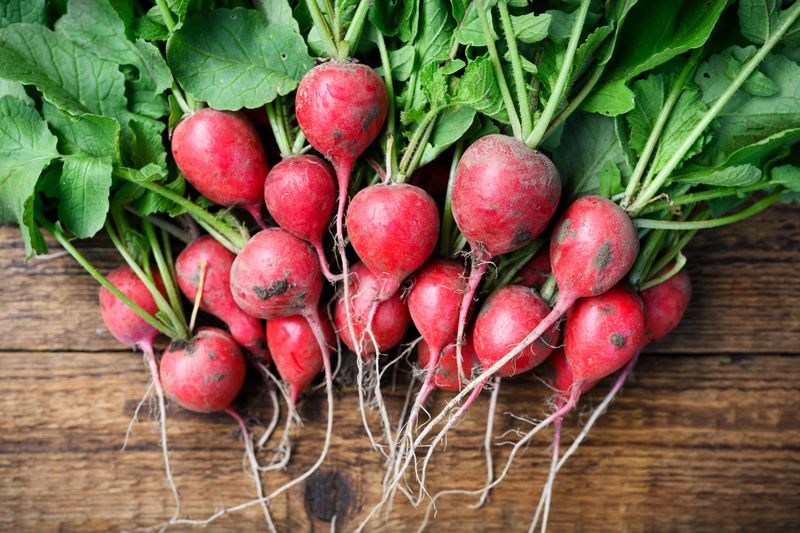 Meet The Radish, The Speed Champion