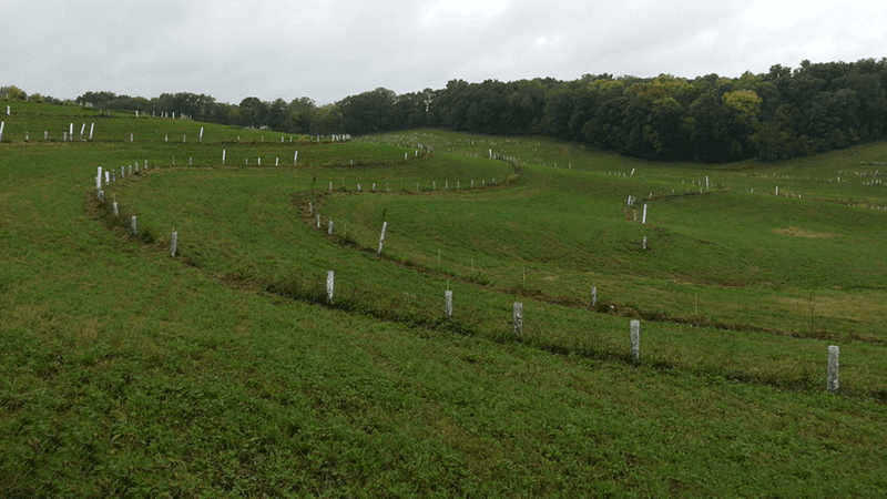 Mid-Slope Yards Often Stay Warmer Than Valley Floors