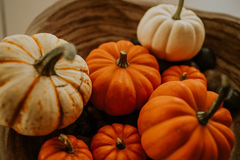 Mini Pumpkin And Gourd Harvest Bowl Mini Pumpkin And Gourd Harvest Bowl