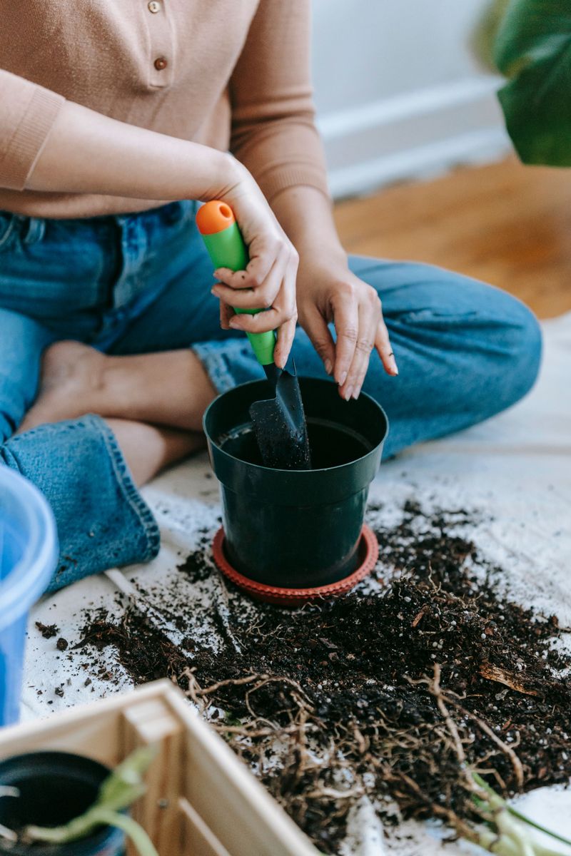 Mix A Fast-Draining Soil For Young Roots Mix A Fast-Draining Soil For Young Roots