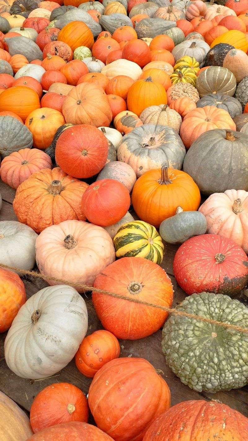 Mix In Unusual Varieties For Color And Shape
