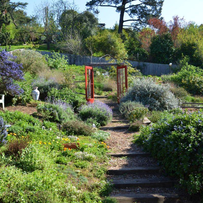 Moist Plants Help Slow Fire Around California Yards Moist Plants Help Slow Fire Around California Yards