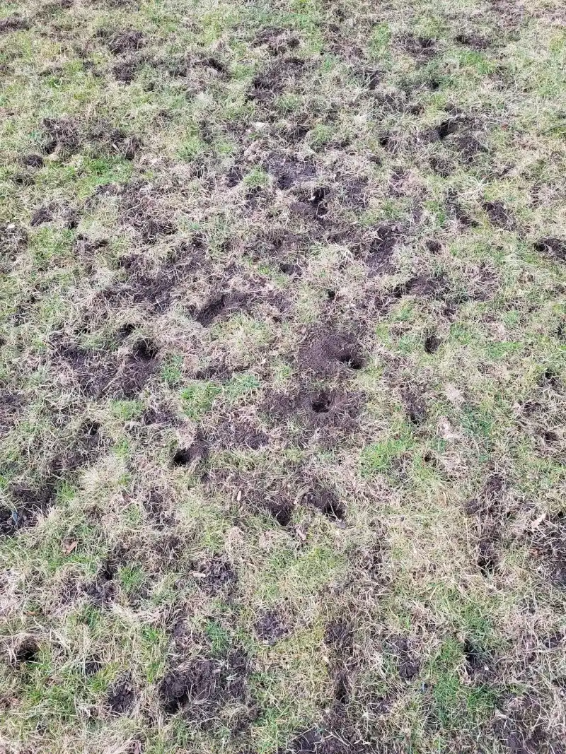 Moist Soil Makes Digging Easy Moist Soil Makes Digging Easy