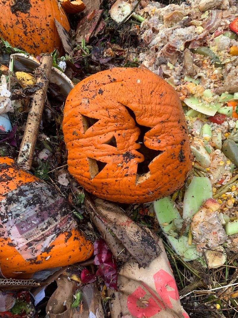Moldy And Mushy Pumpkins Still Belong In The Compost