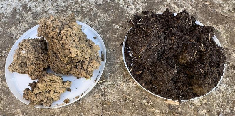 More Organic Matter Can Mean Less Watering More Organic Matter Can Mean Less Watering