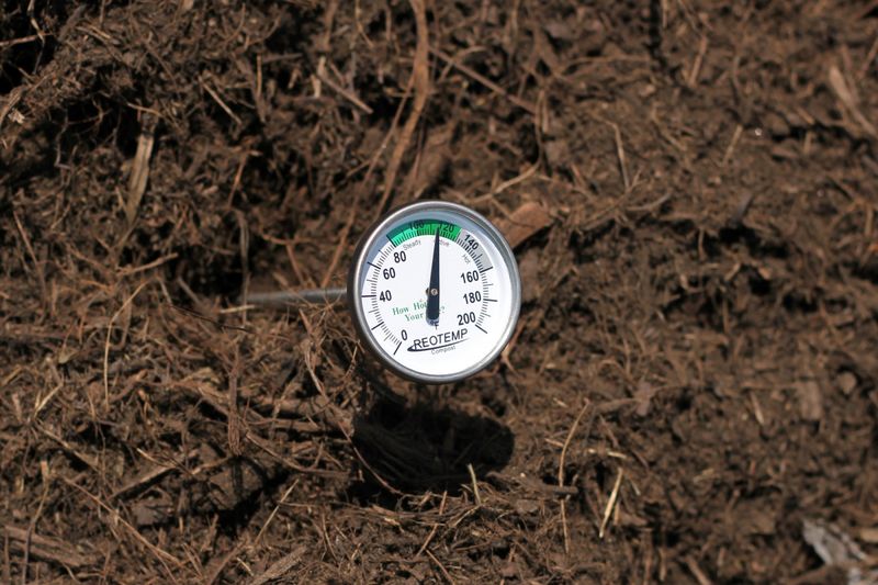 Most Backyard Piles Don't Get Hot Enough