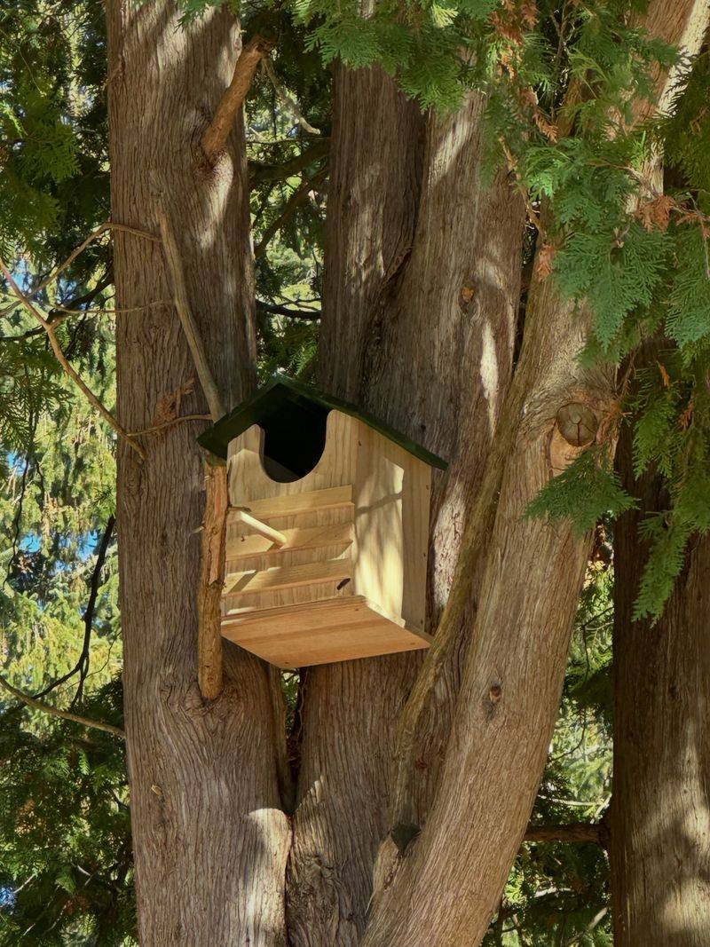 Mount It 20 To 30 Feet Up In Mature Hardwoods Mount It 20 To 30 Feet Up In Mature Hardwoods