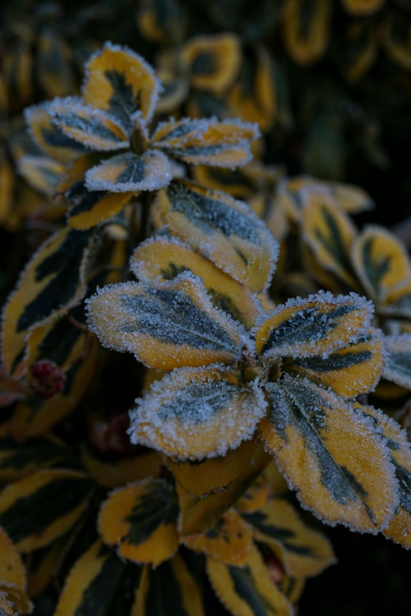 Mountain Walls Trap Cold Air In The Valley
