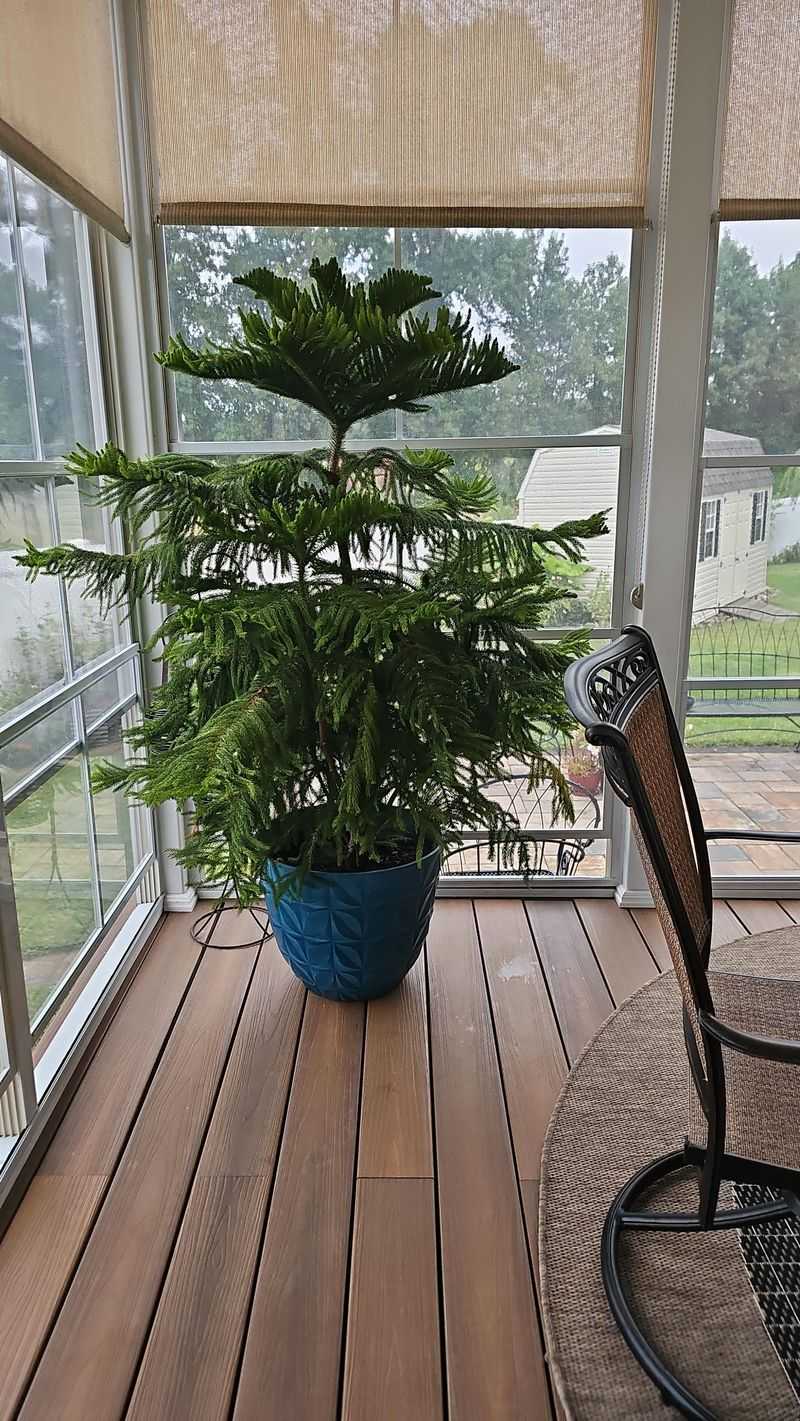 Move It Outdoors When Spring Warms Up