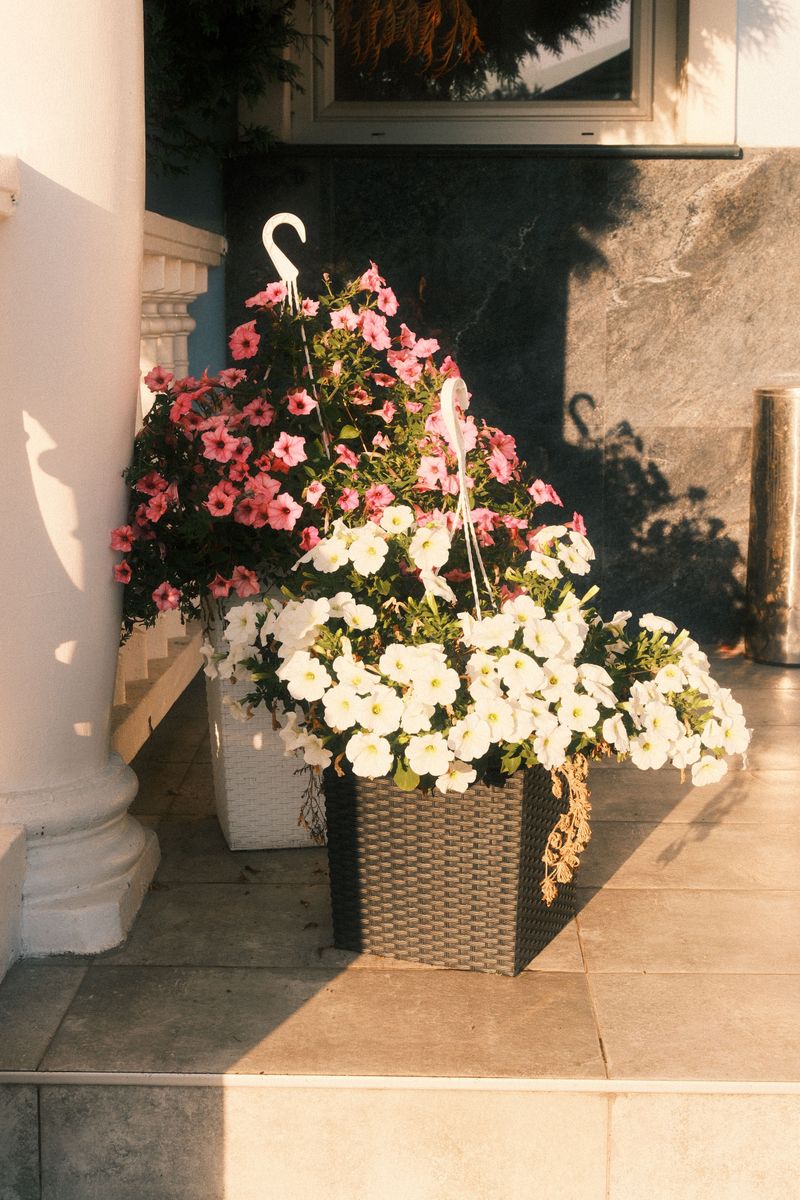 Move Potted Plants Into A Garage Or Sunny Porch