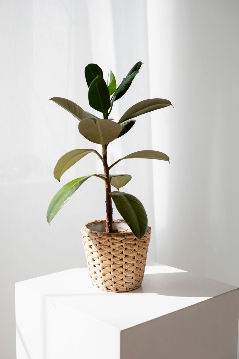 Move The Pot Away From Heat Vents And Drafts Move The Pot Away From Heat Vents And Drafts