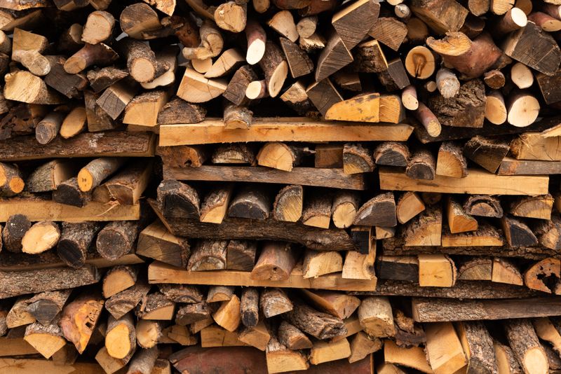 Moving Firewood Spreads Them To New Places Moving Firewood Spreads Them To New Places