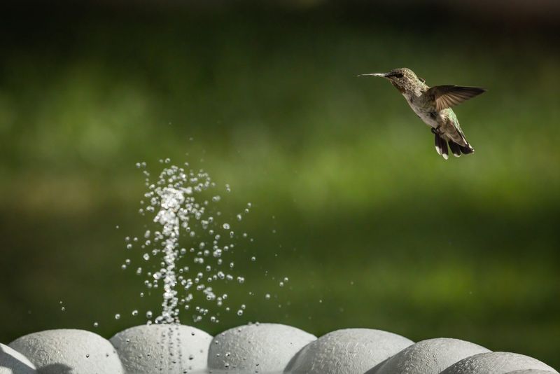 Moving Water