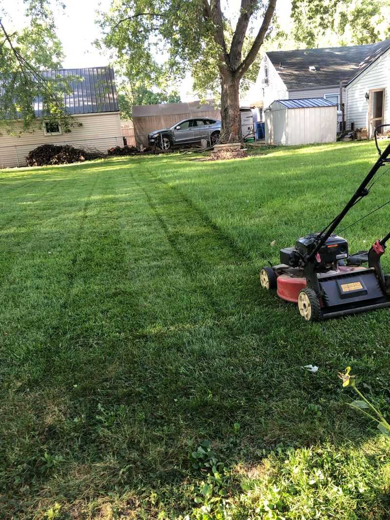 Mow A Little Lower Before You Start