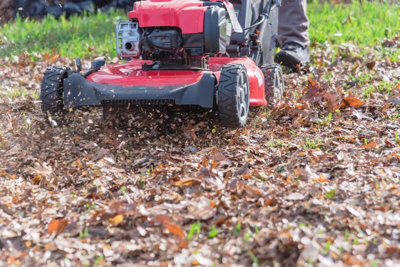 Mow, Don’t Rake, For An Easier Lawn Routine Mow, Don’t Rake, For An Easier Lawn Routine