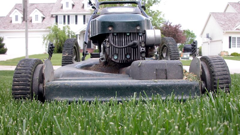 Mow Early Before The Heat Builds Mow Early Before The Heat Builds