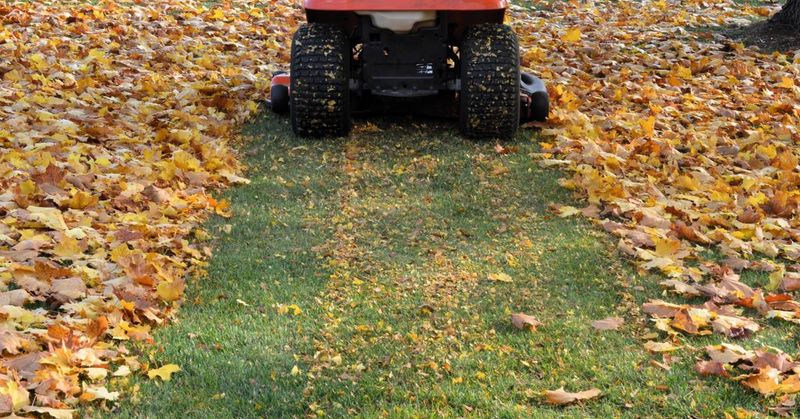 Mow Leaves Into The Lawn For Instant Results
