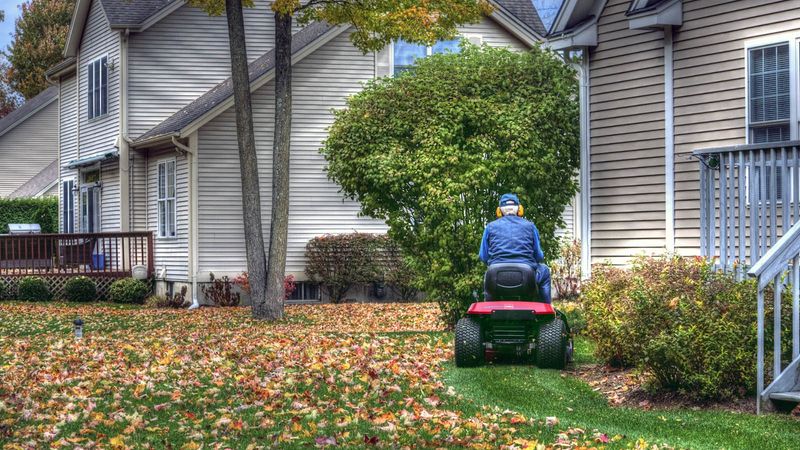 Mow Over Fallen Leaves Instead Of Raking Them