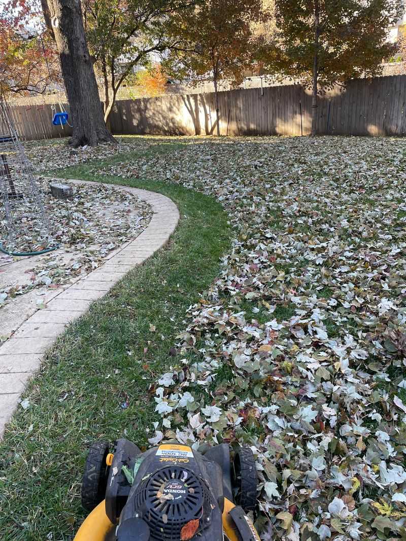 Mow When Leaves Are Dry Mow When Leaves Are Dry