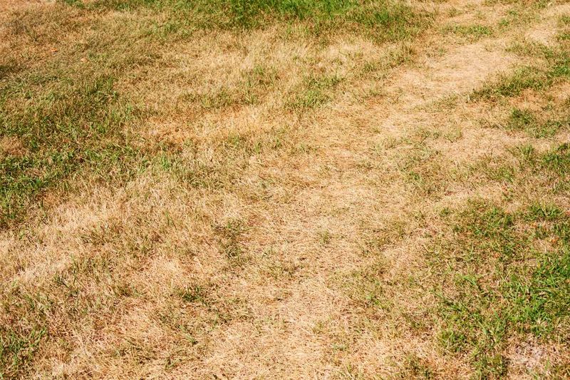 Mowing Dry Grass Can Ignite A Blaze Mowing Dry Grass Can Ignite A Blaze