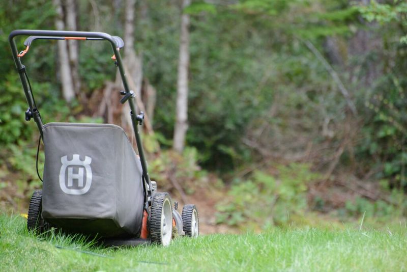 Mowing Habits That Help St. Augustine Bounce Back