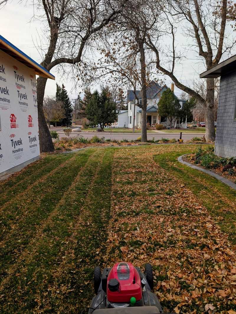 Mowing Leaves Is Healthy For Your Lawn Mowing Leaves Is Healthy For Your Lawn