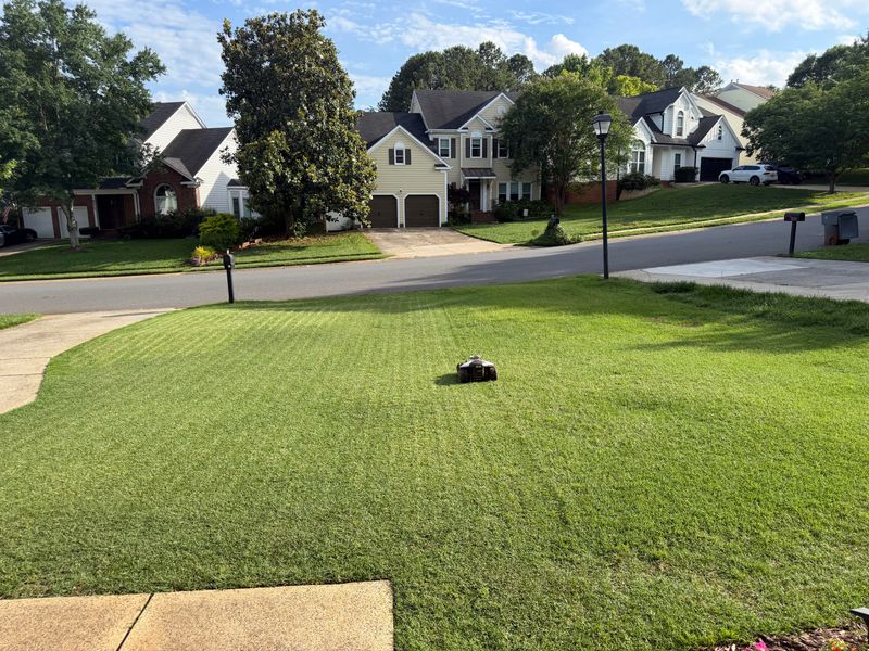 Mowing Low First Gives Seed A Path To The Soil