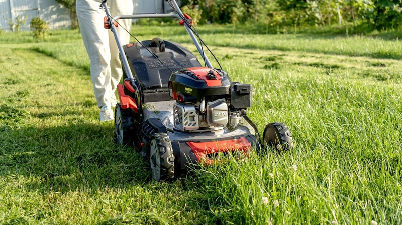 Mowing Tall Keeps Sunlight Off Seeds