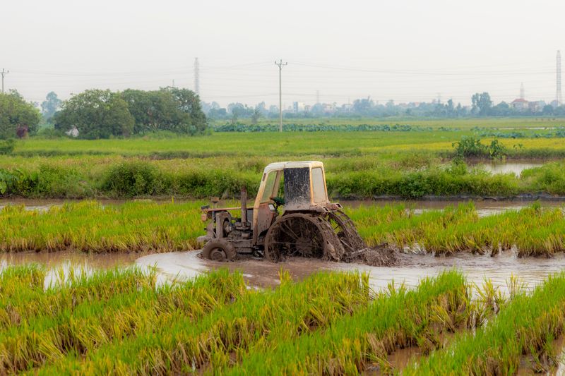 Muddy Fields Slow Down Harvest Crews And Machines Muddy Fields Slow Down Harvest Crews And Machines