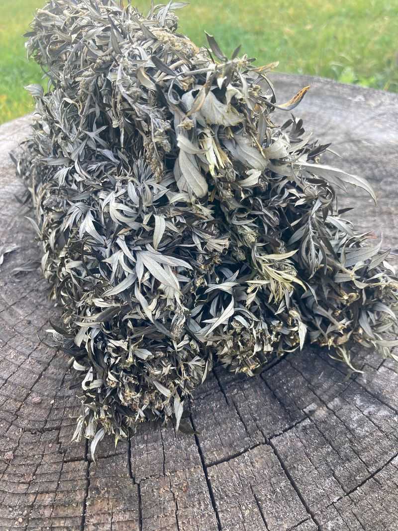 Mugwort Was Hung In Doorways And Rafters