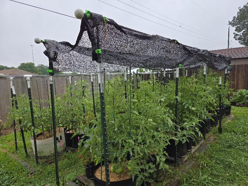 Mulch And Shade Cloth Cut The Damage
