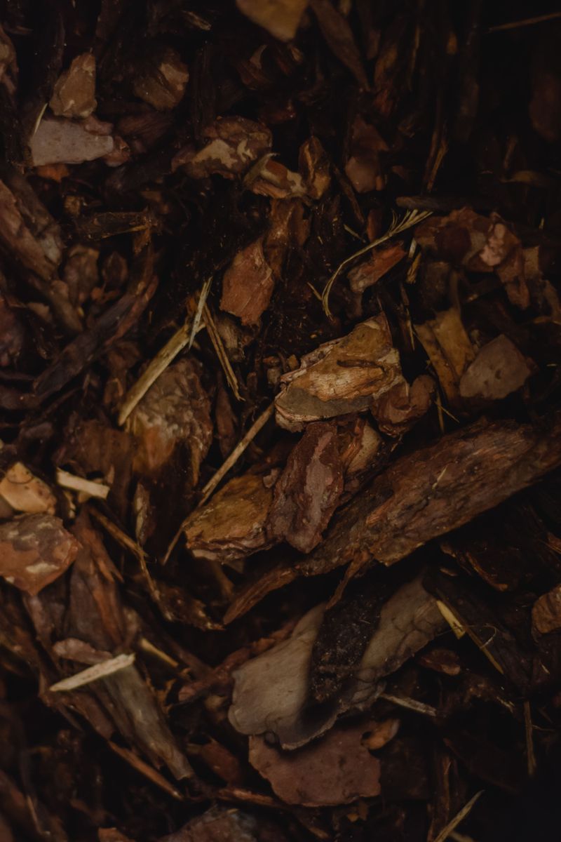 Mulch And Smart Containers For Steady Moisture Mulch And Smart Containers For Steady Moisture