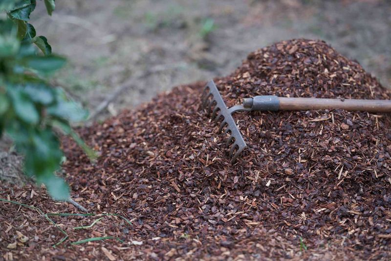 Mulch Generously To Protect Your Yard Mulch Generously To Protect Your Yard