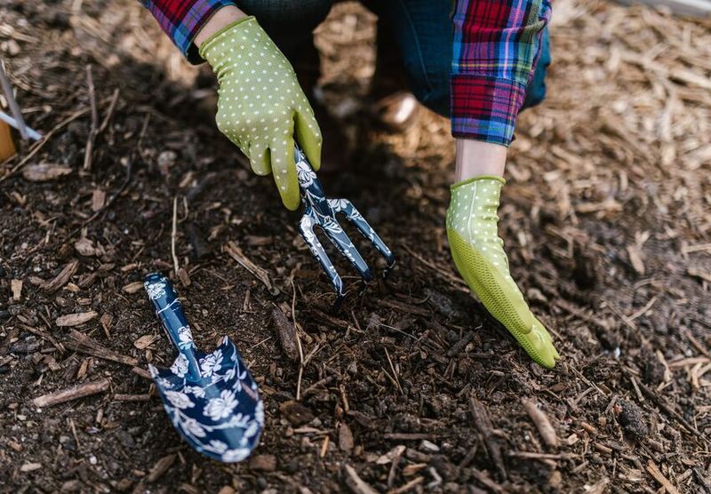 Mulch Gives Late Plantings A Cozy Head Start Mulch Gives Late Plantings A Cozy Head Start