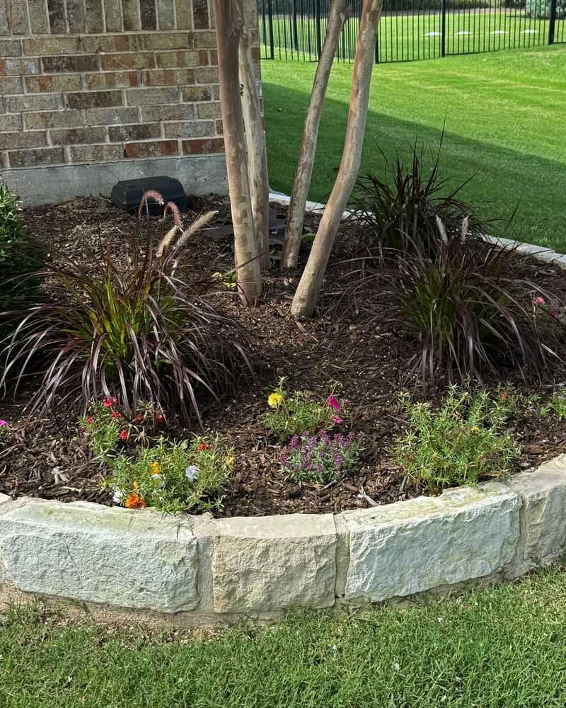 Mulch May Offer Some Protection In The Mildest Coastal Winters Mulch May Offer Some Protection In The Mildest Coastal Winters