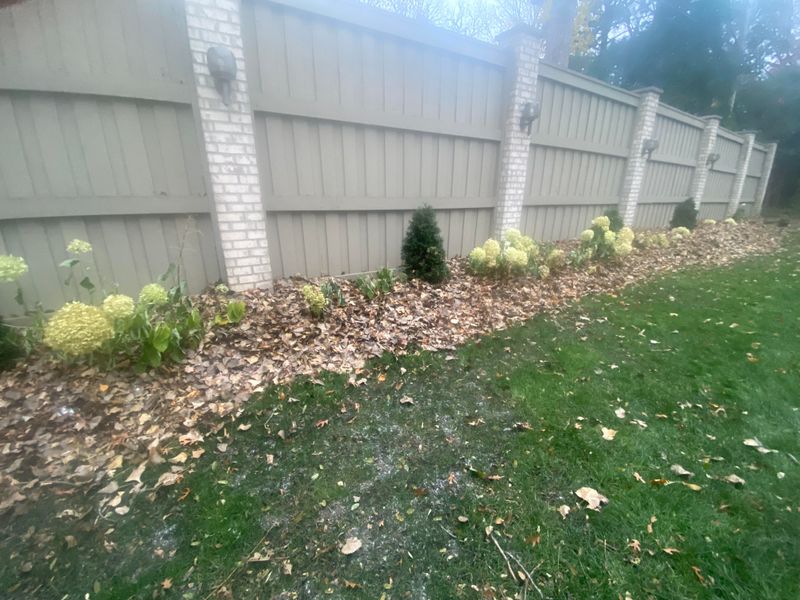 Mulch Over The Crown With Shredded Leaves