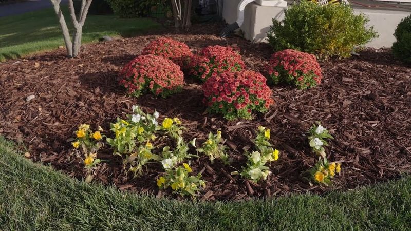Mulch Right After Planting Mulch Right After Planting