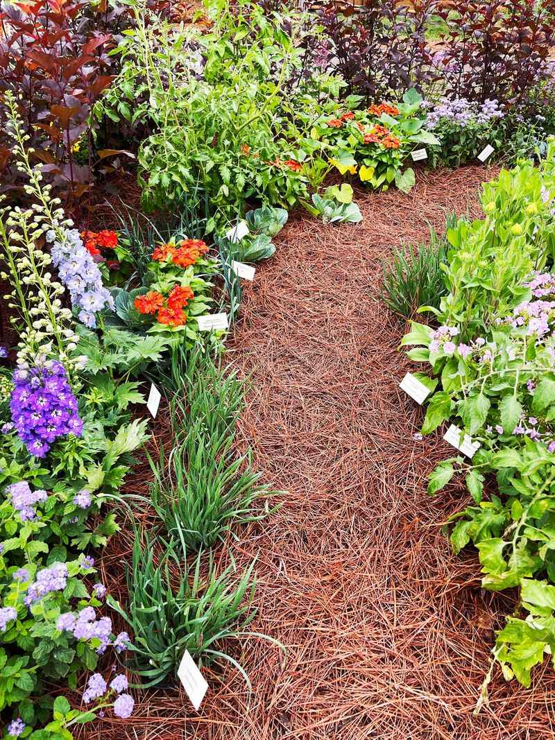 Mulch To Hold On To Moisture