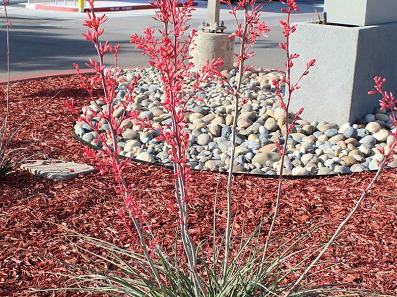 Mulch blocks light in planting beds Mulch blocks light in planting beds