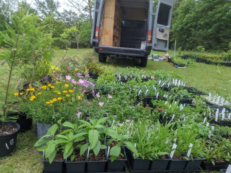 Native Plant Company, Milton