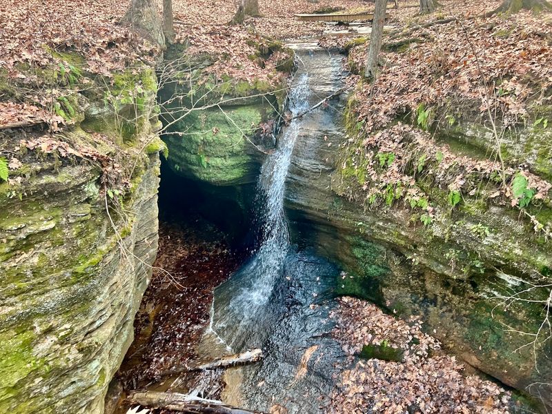 Nelson-Kennedy Ledges State Park, Nelson Township