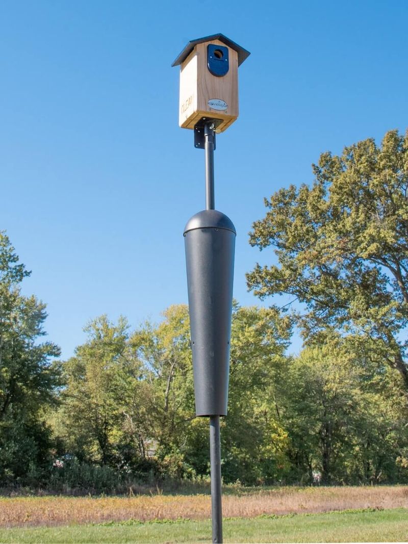 Nest Boxes Double As Winter Shelters