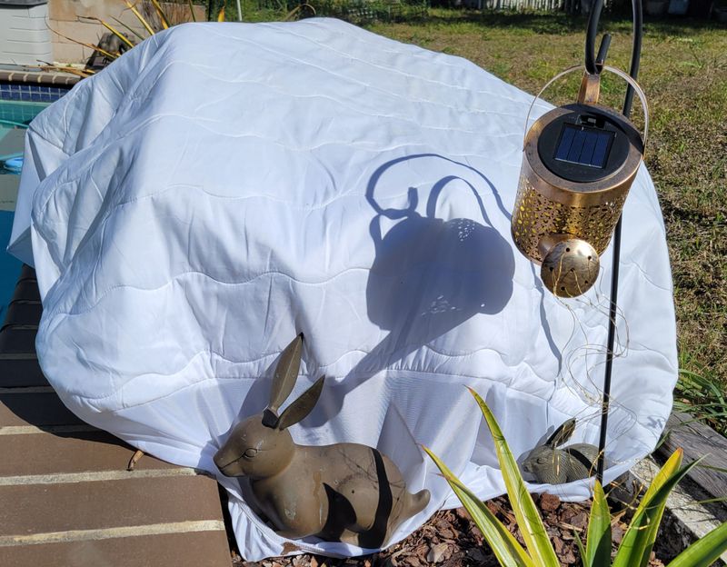 Never Leave It Outside When Temperatures Drop Below 50 Degrees Never Leave It Outside When Temperatures Drop Below 50 Degrees