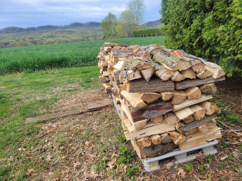 Never Spray Firewood With Insecticide